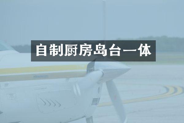 自制厨房岛台一体