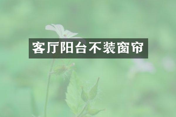 客厅阳台不装窗帘