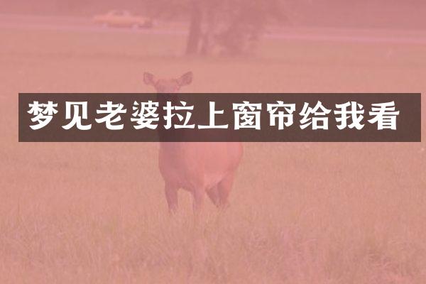 梦见老婆拉上窗帘给我看