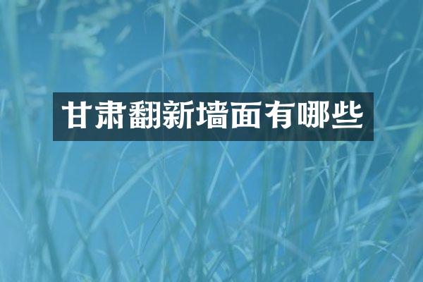 甘肃翻新墙面有哪些