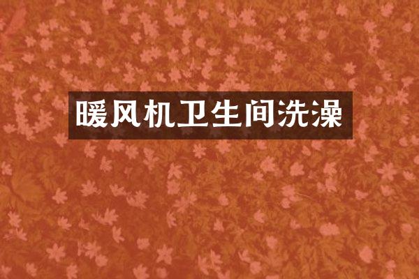 暖风机卫生间洗澡