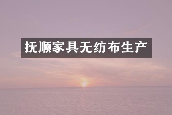 抚顺家具无纺布生产
