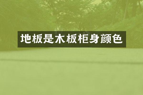 地板是木板柜身颜色