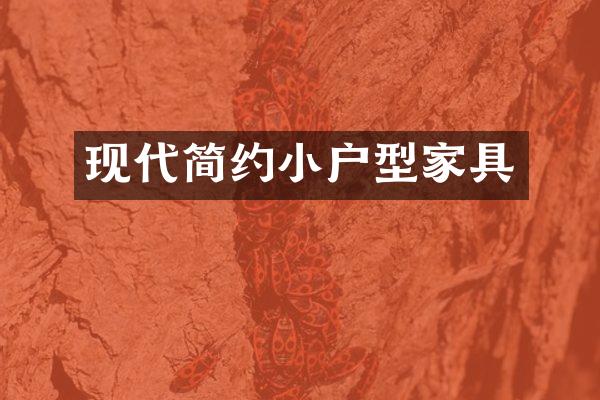 现代简约小户型家具