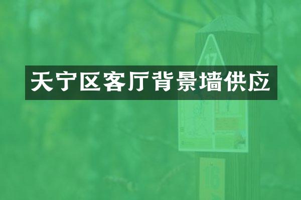 天宁区客厅背景墙供应