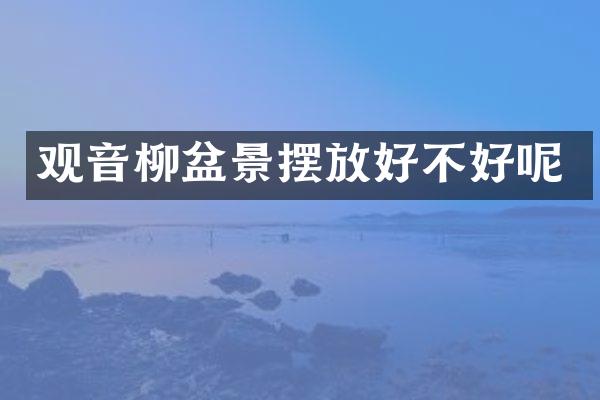 观音柳盆景摆放好不好呢