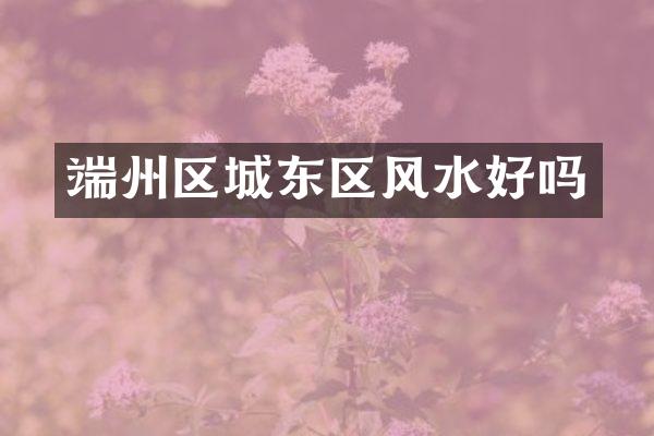 端州区城东区风水好吗