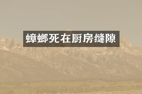 蟑螂死在厨房缝隙