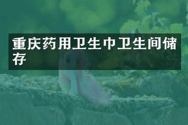 重庆药用卫生巾卫生间储存