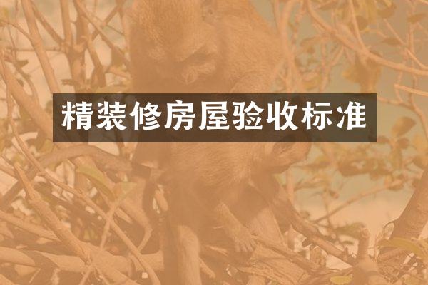 精装修房屋验收标准