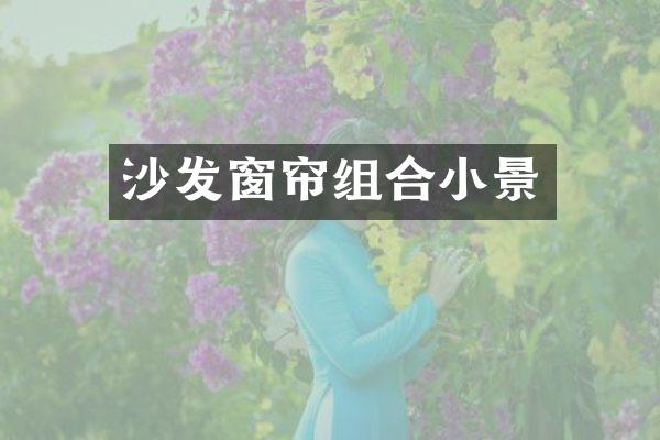 沙发窗帘组合小景