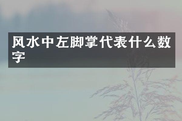 风水中左脚掌代表什么数字