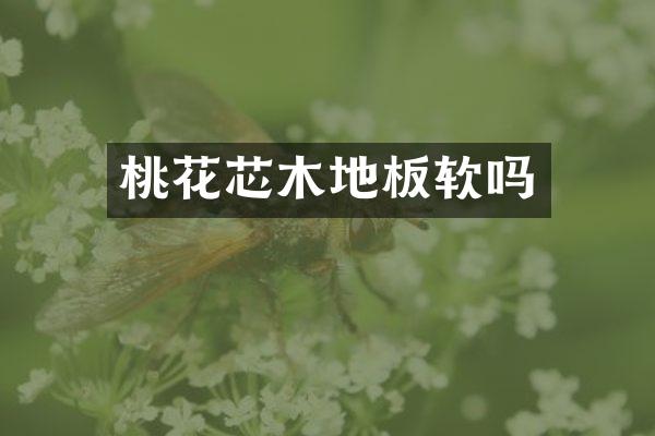 桃花芯木地板软吗