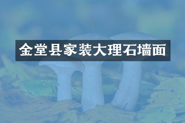金堂县家装大理石墙面