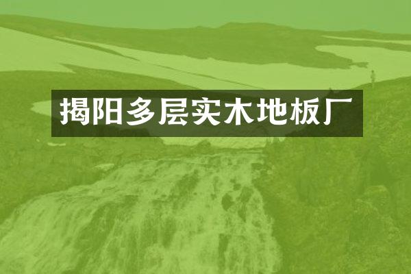 揭阳多层实木地板厂