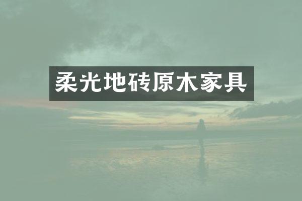 柔光地砖原木家具