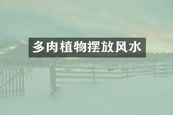 多肉植物摆放风水