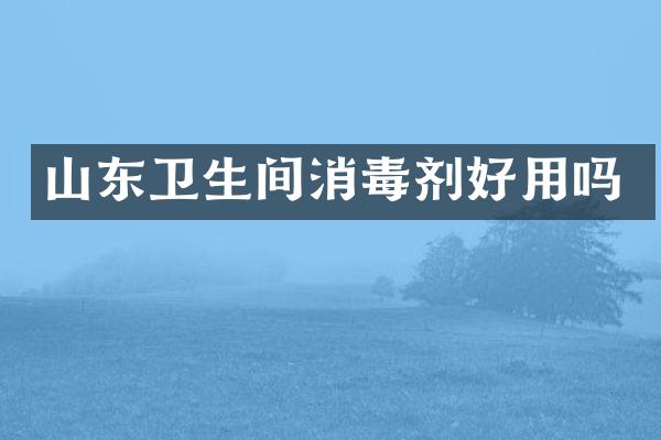 山东卫生间消毒剂好用吗
