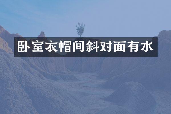 卧室衣帽间斜对面有水
