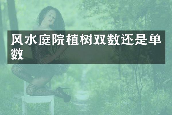 风水庭院植树双数还是单数
