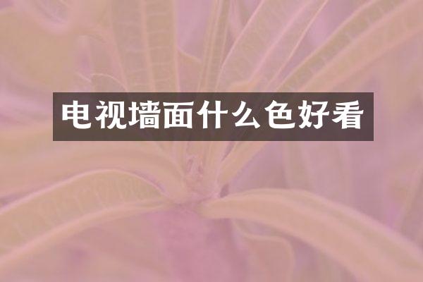 电视墙面什么色好看