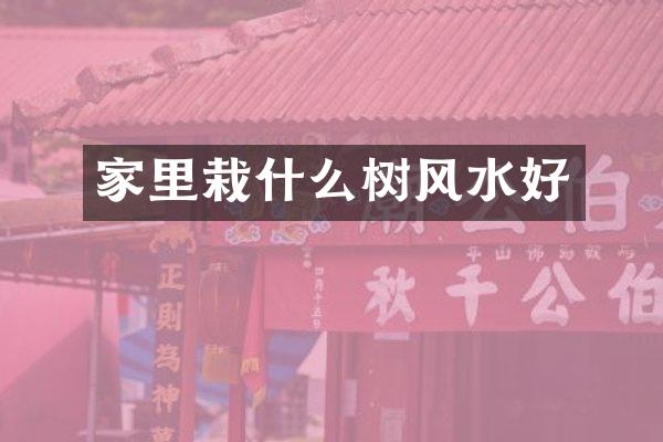 家里栽什么树风水好