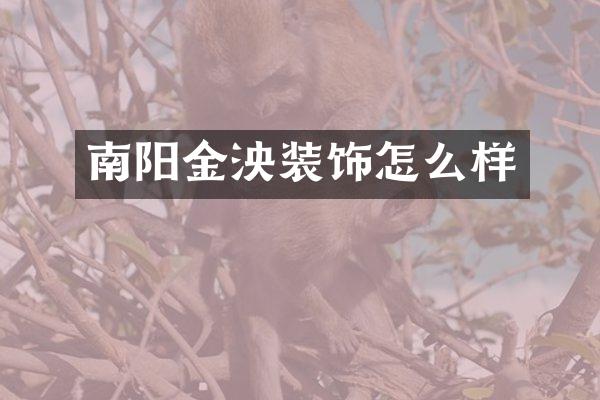 南阳金泱装饰怎么样