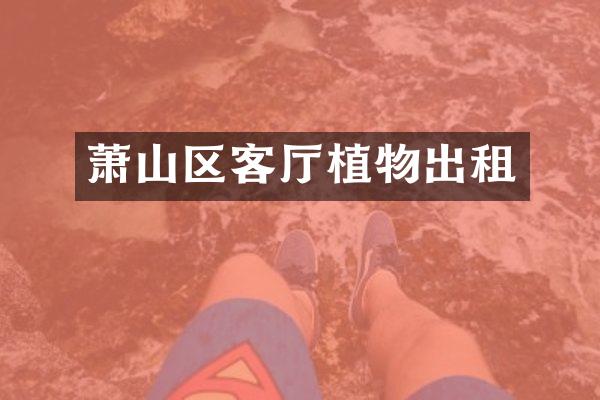 萧山区客厅植物出租