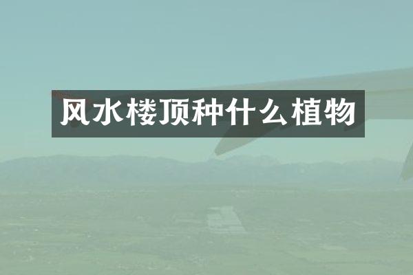 风水楼顶种什么植物