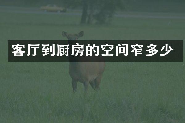 客厅到厨房的空间窄多少