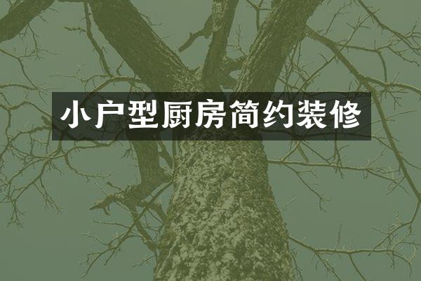 小户型厨房简约装修