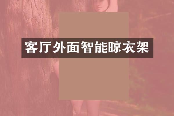 客厅外面智能晾衣架
