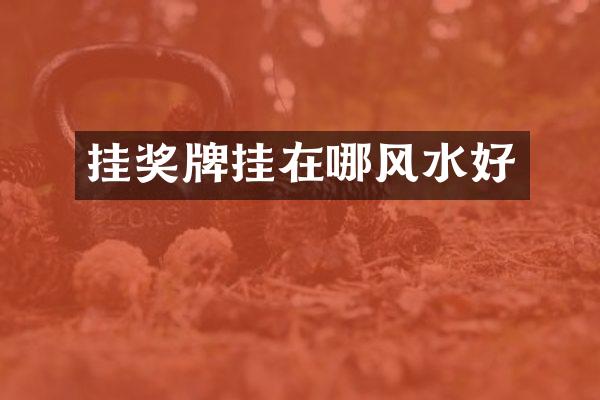 挂奖牌挂在哪风水好