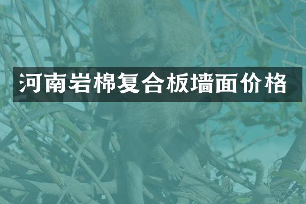 河南岩棉复合板墙面价格