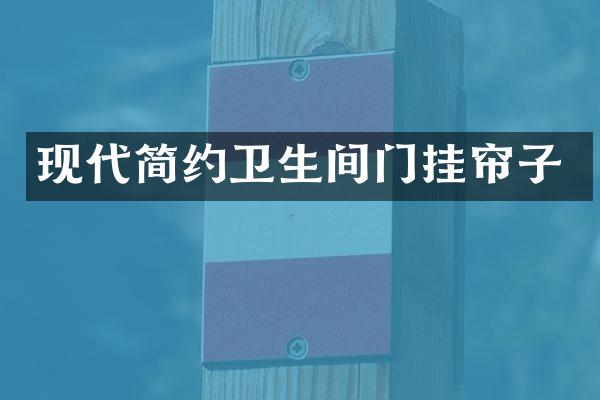 现代简约卫生间门挂帘子
