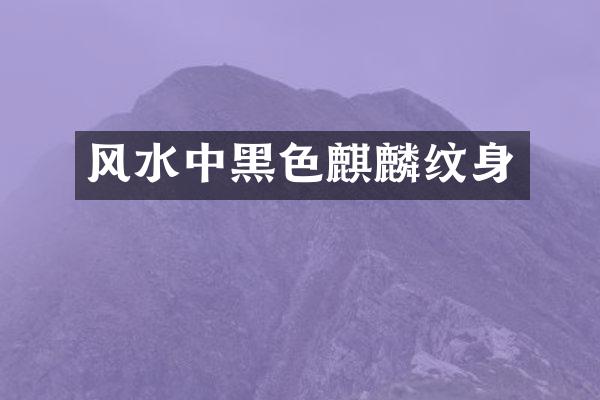 风水中黑色麒麟纹身