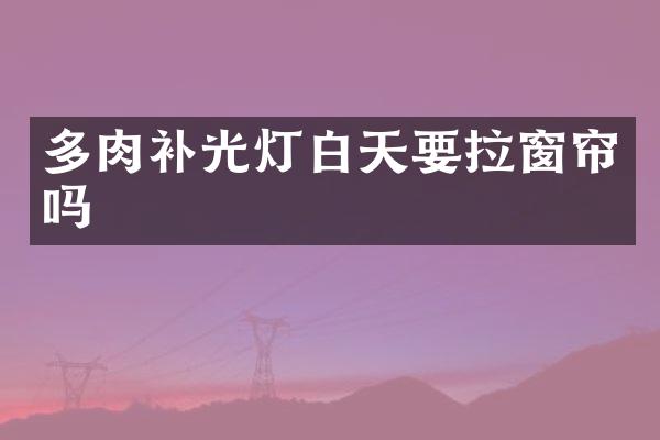 多肉补光灯白天要拉窗帘吗