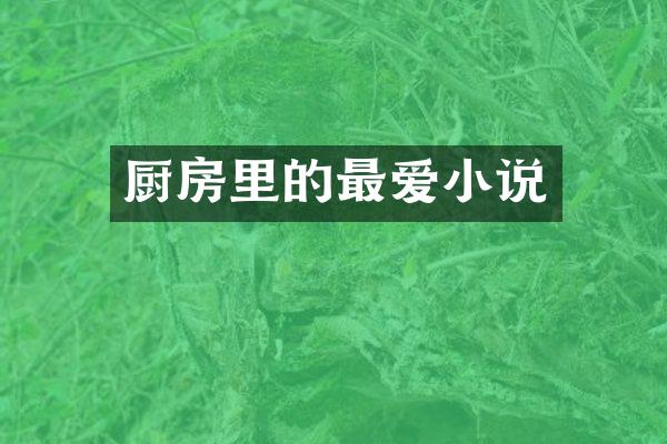 厨房里的最爱小说