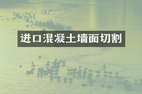 进口混凝土墙面切割