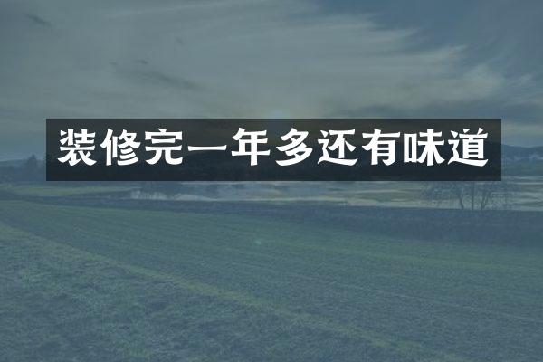 装修完一年多还有味道