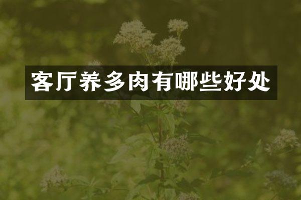 客厅养多肉有哪些好处