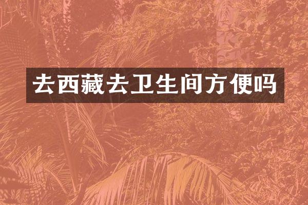 去西藏去卫生间方便吗