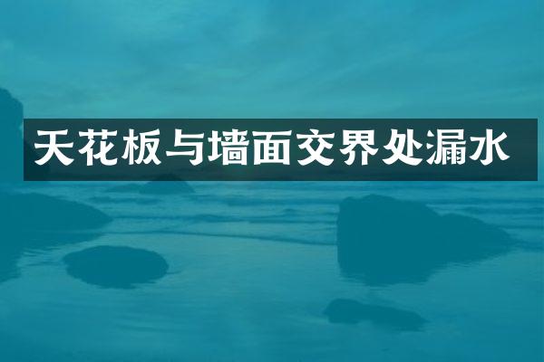 天花板与墙面交界处漏水