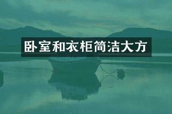卧室和衣柜简洁大方