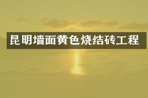 昆明墙面黄色烧结砖工程