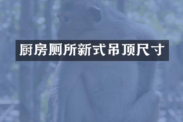 厨房厕所新式吊顶尺寸
