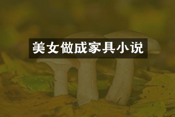 做成家具小说