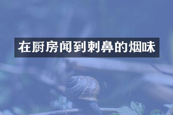 在厨房闻到刺鼻的烟味