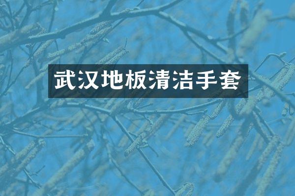 武汉地板清洁手套