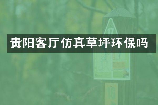 贵阳客厅仿真草坪环保吗